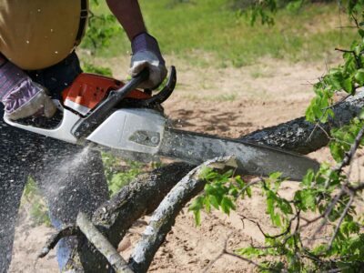 Cutting Tree Chain Saw